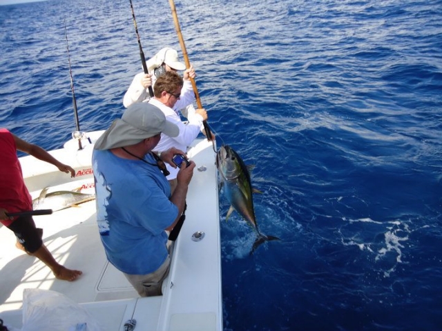  A good catch 